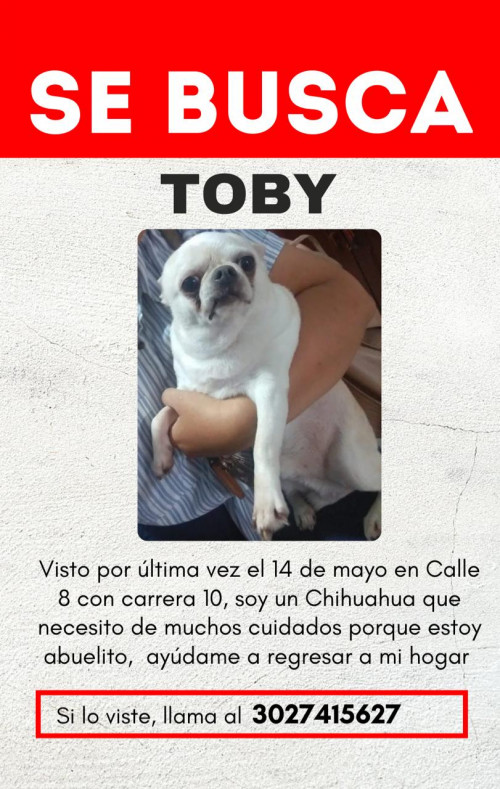 Toby