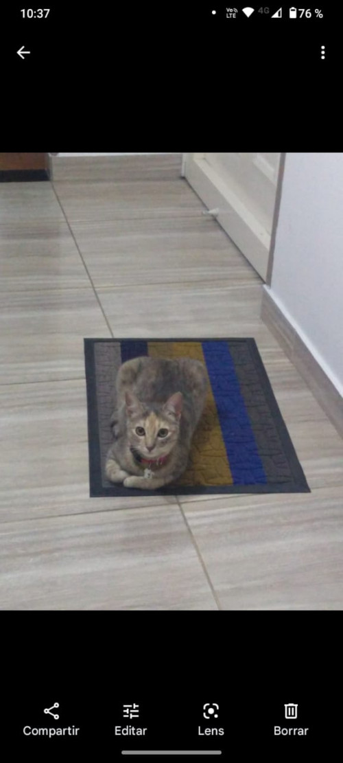Luna