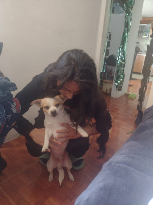 Apolo