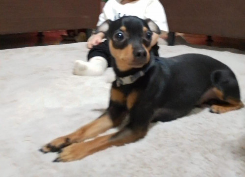 Milo
