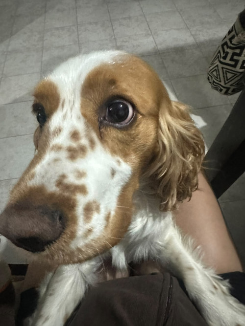 Max