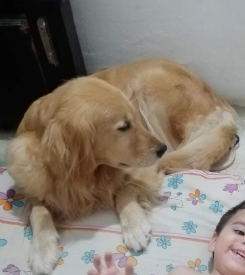Milu