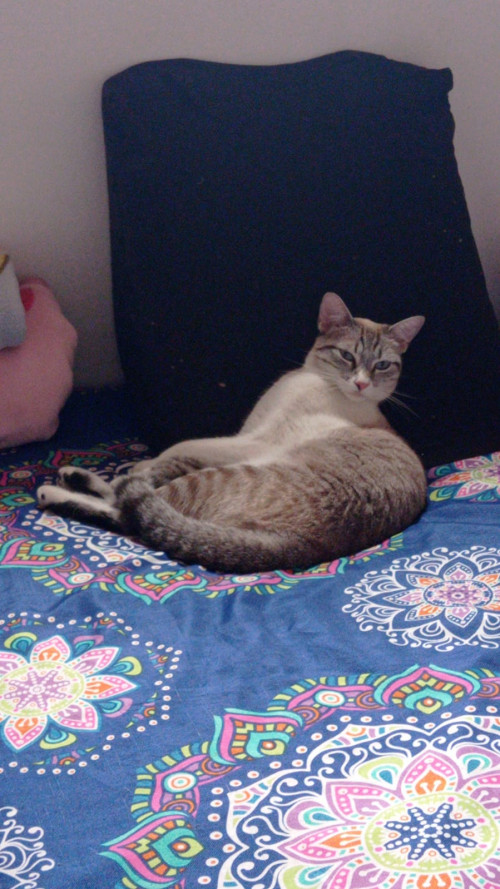Molly