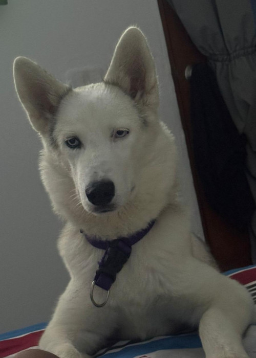 Ragnar