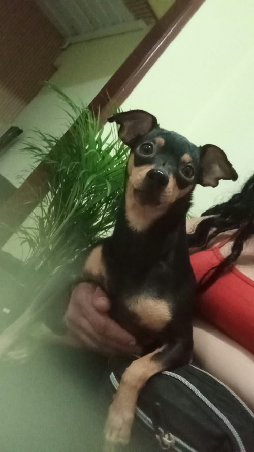 Max Y Princesa