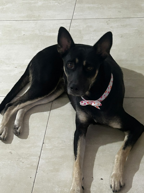 Kira