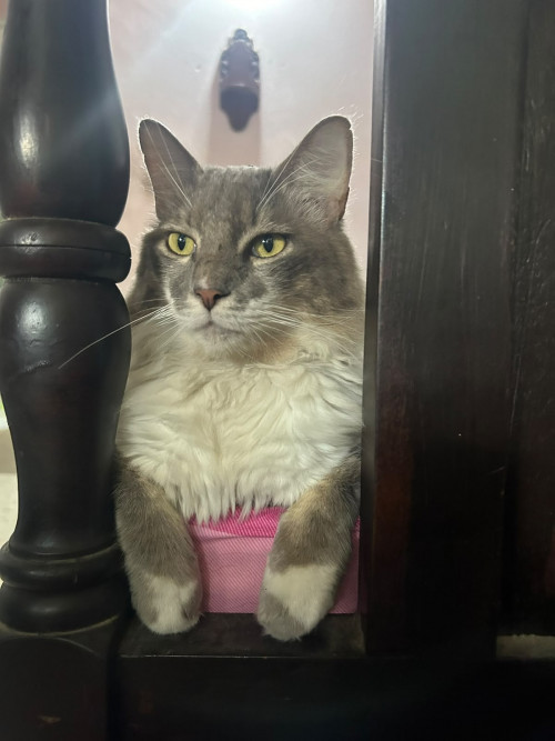 Ragnar