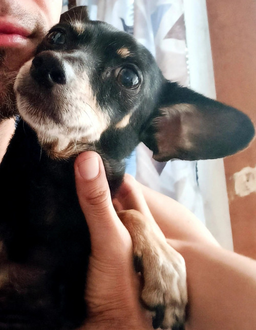 Juanita