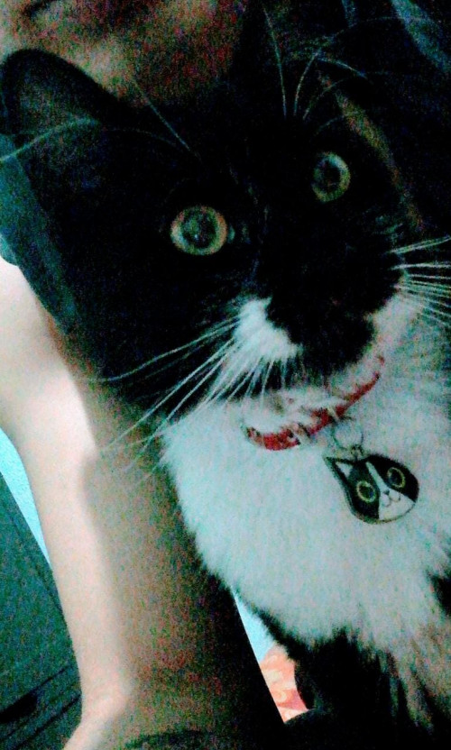 Oliver