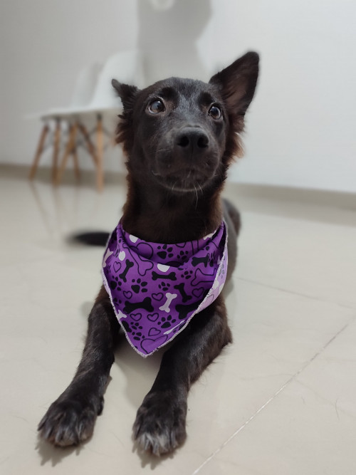 Luna