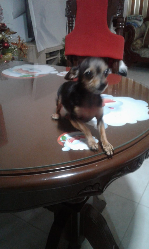 Princesa