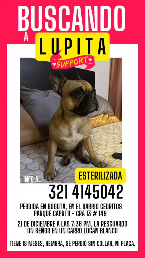 Lupita