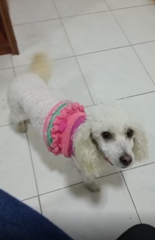 Luly