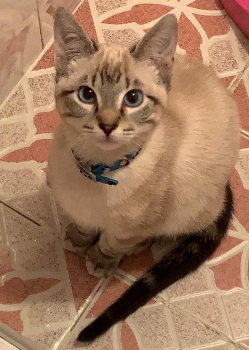 Oliver