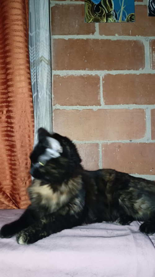 Lu
