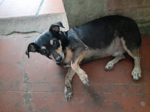 Princesa