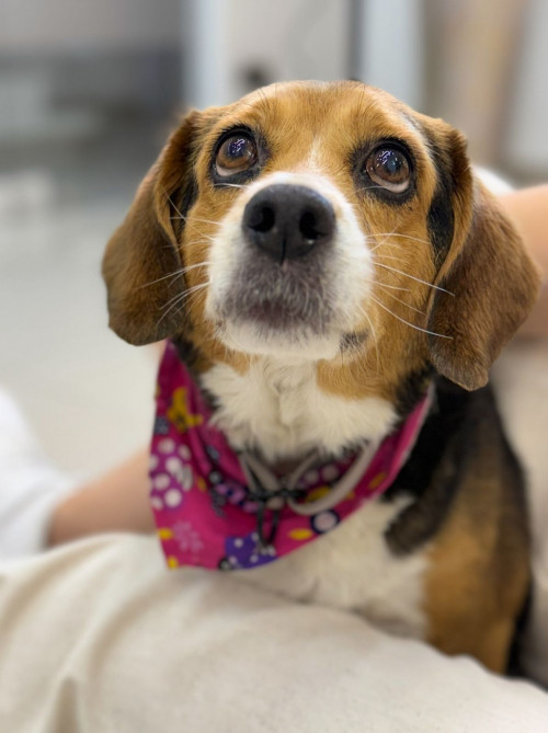 Maggie
