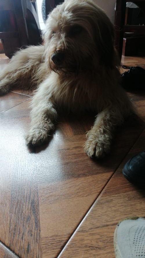 Zeus