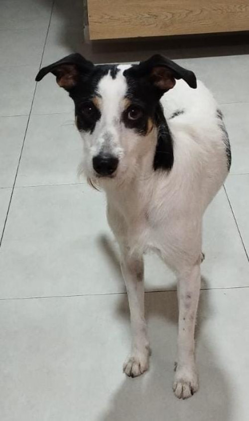 Max