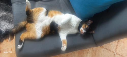 Luna