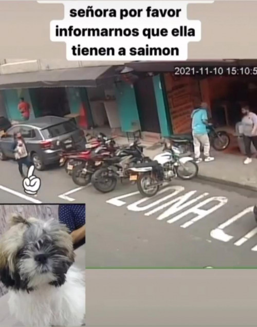 Saimon