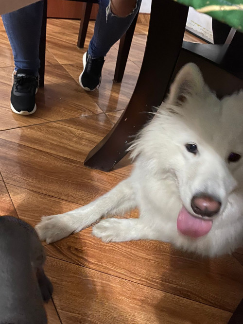 Kira
