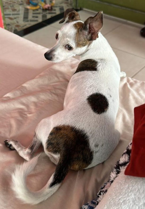 Lupita