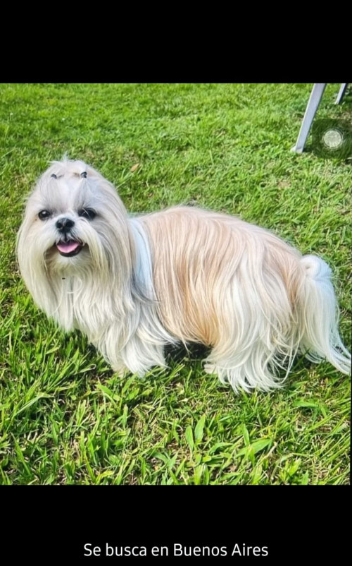 Dulce
