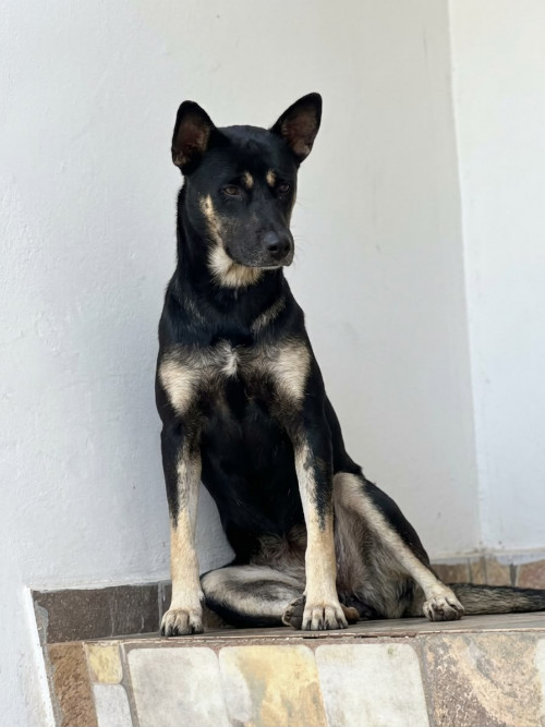Kira