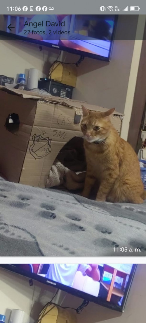 Max