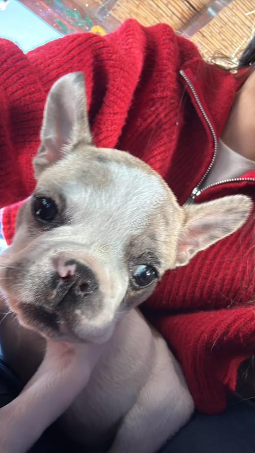 Zoe