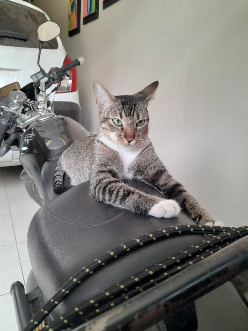 Lucy