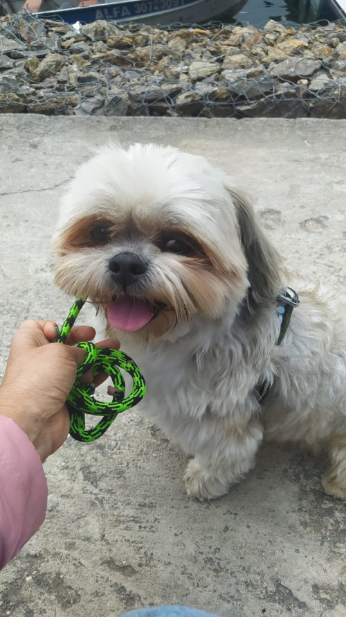Toby