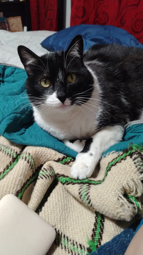 Max