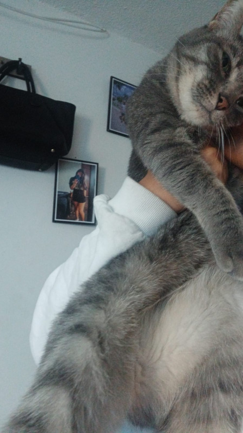 Bimba