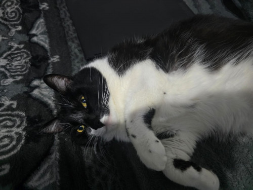 Max