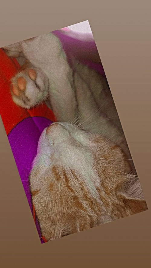 George