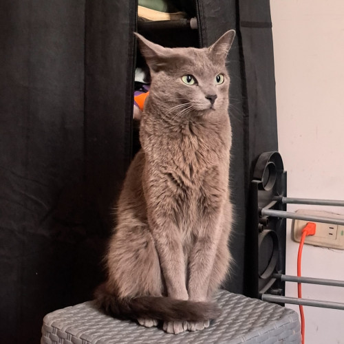 Ragnar