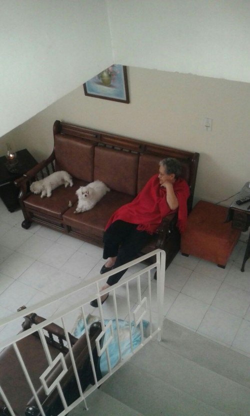 Lupe