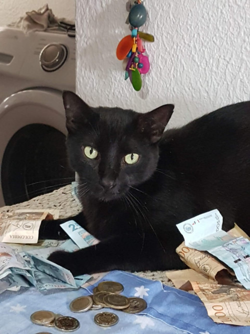 Negrito