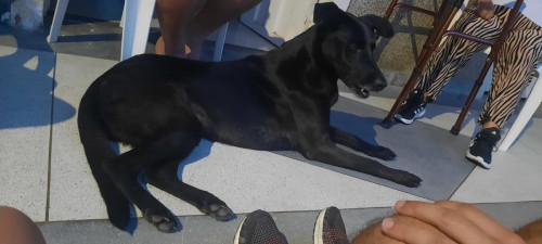 Luna