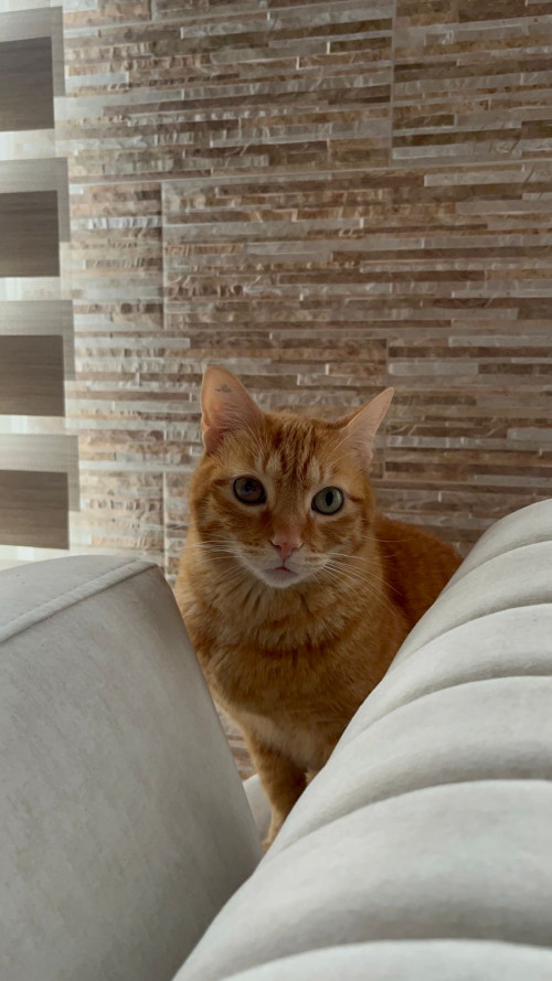 Zoe