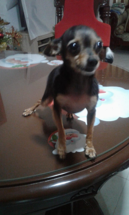 Princesa