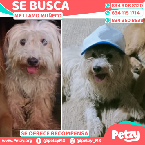 Banner de Muñeco