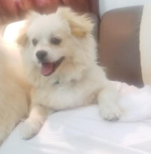 Max