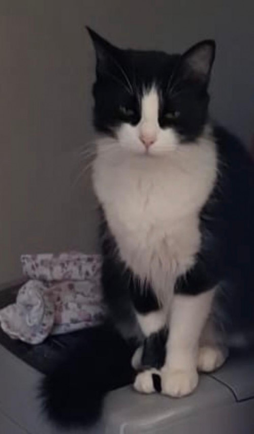 Pepa