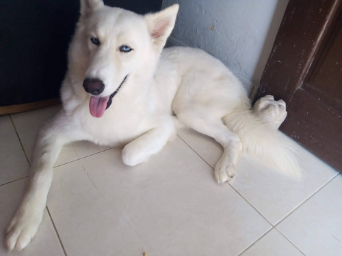 Cloe