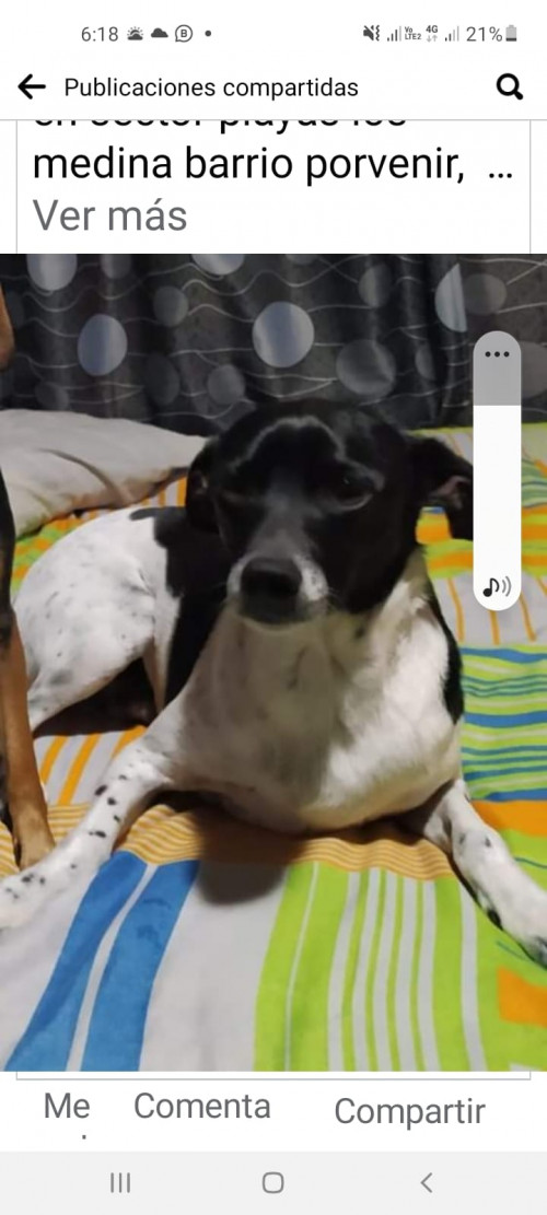 Loky