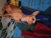 Foto de Wilson en Neiva Huila #3