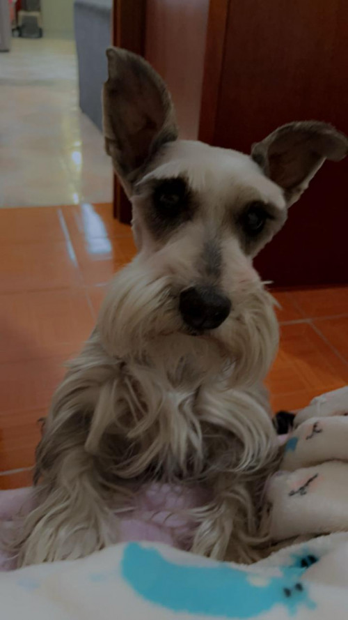 Suky